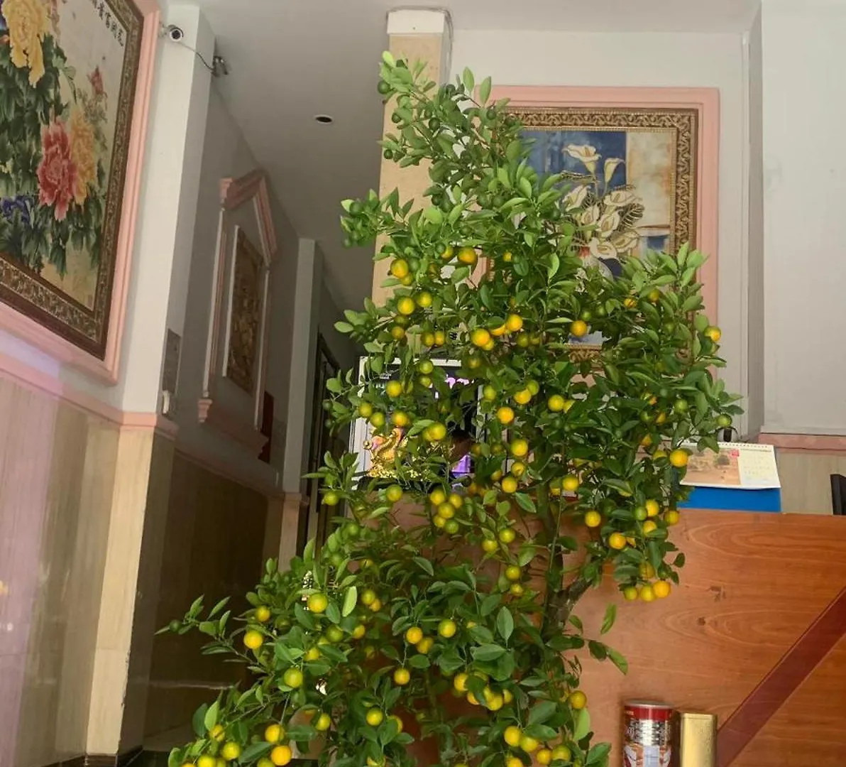 Khach San Anh Nguyet 1 Otel Ho Şi Min